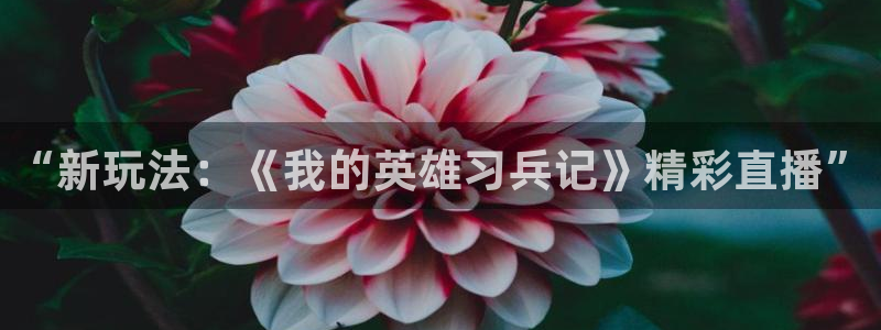 长征娱乐怎么注册：“新玩法：《我的英雄习兵记》精彩直播”