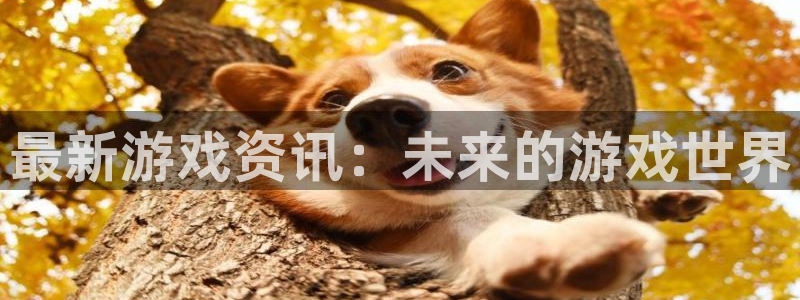 长征娱乐Ii：最新游戏资讯：未来的游戏世界