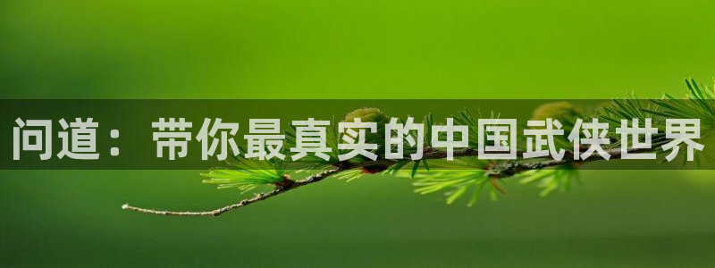 长征娱乐娱乐：问道：带你最真实的中国武侠世界