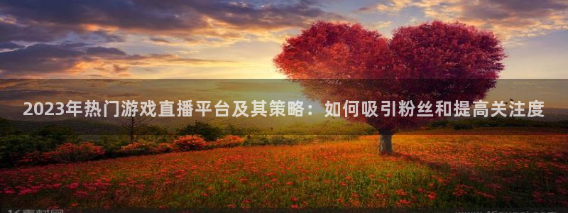 长征娱乐：2023年热门游戏直播平台及其策略：如何吸引粉丝和