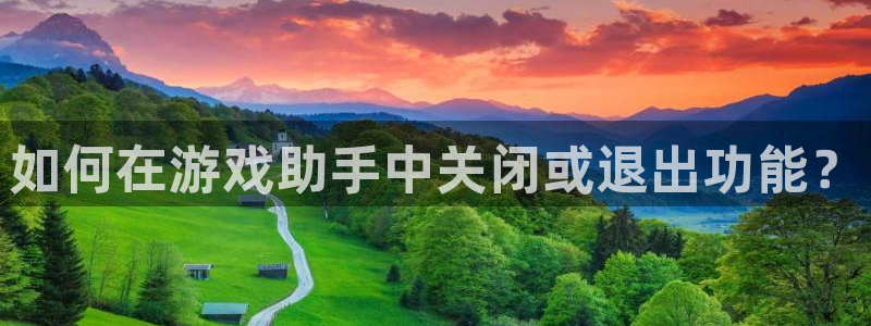 长征娱乐注册地址：如何在游戏助手中关闭或退出功能？