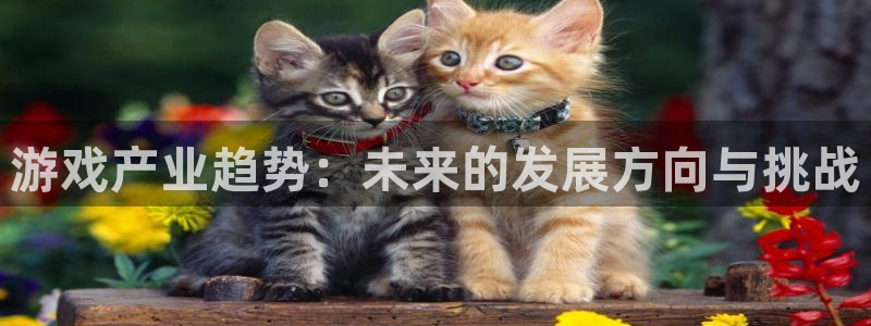 长征娱乐测速：游戏产业趋势：未来的发展方向与挑战