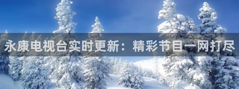 看球吧直播在线入口：永康电视台实时更新：精彩节目一网打尽
