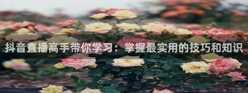 看球吧直播网：抖音直播高手带你学习：掌握最实用的技巧和知识