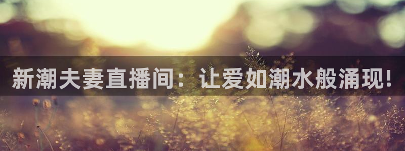 看球吧nba在线高清免费：新潮夫妻直播间：让爱如潮水般涌现!