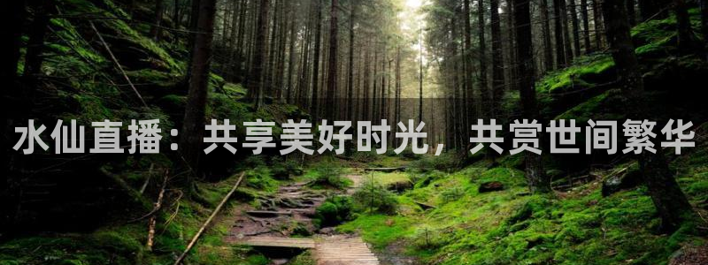 nba无插件直播看球吧：水仙直播：共享美好时光，共赏世间繁华