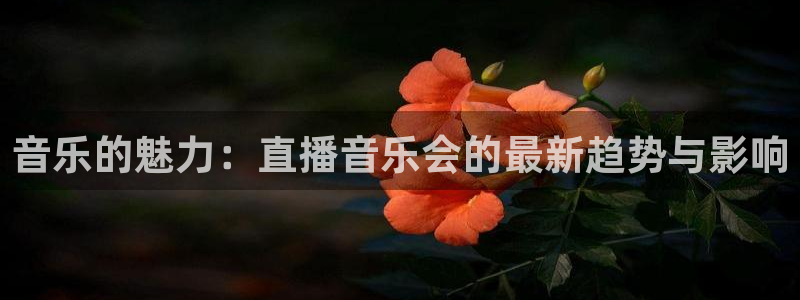 看球吧直播网：音乐的魅力：直播音乐会的最新趋势与影响