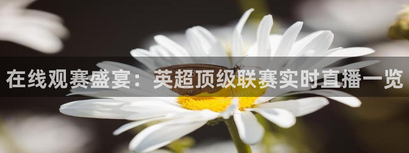 看球吧 直播：在线观赛盛宴：英超顶级联赛实时直播一览