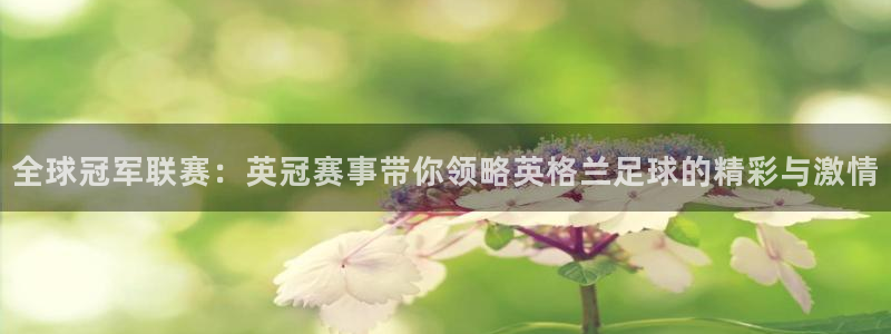 看球吧体育直播：全球冠军联赛：英冠赛事带你领略英格兰足球的精彩与激情