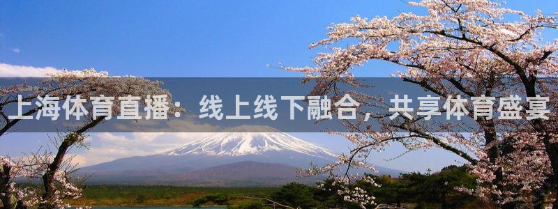 看球吧：上海体育直播：线上线下融合，共享体育盛宴