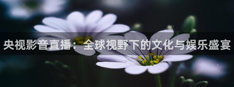 看球吧足球直播：央视影音直播：全球视野下的文化与娱乐盛宴
